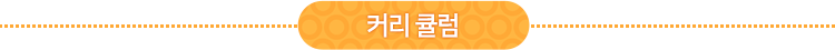 커리큘럼